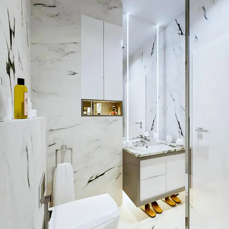 Interior Design, Toilets. Projekte Arkitekture